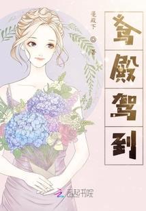 圣域幻斗记