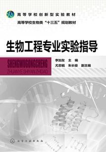 我的仙武系统