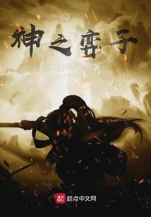 奋斗在南宋末年
