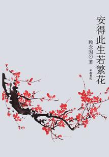 宠物小精灵之清水赤炎