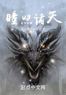 兰斯年代记