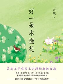 天下无双之翡翠城