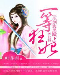 宝可梦之白夜传说