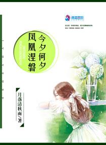 这不是我的道