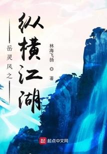 纵横天崖