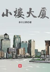 蜘蛛网中的猫