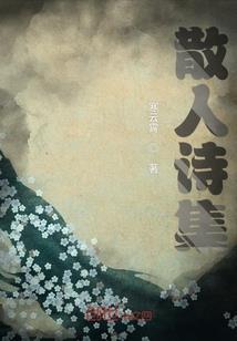 肢解太阳
