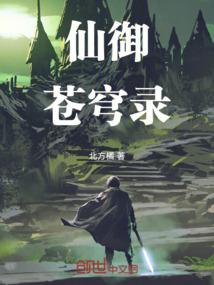寻乡的流浪者