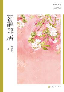 九颗圣者之心