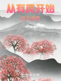 光之力少女的守护历程