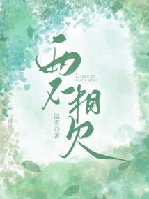 海贼之怪盗