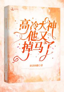 映月银辉