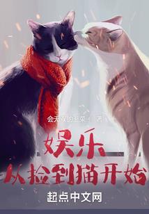 海贼武帝