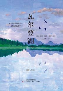最是情字动人