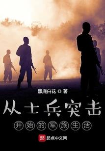 夏茉风廷