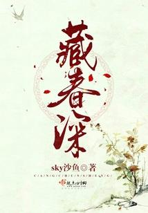 请认真，指挥官