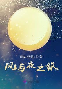 大佬看上的女人不好惹