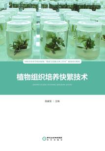修行之路何是头