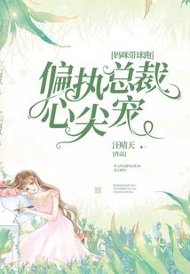 海贼王之纸之天使