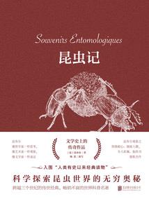 师傅看招