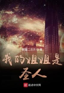 新华琴帝传