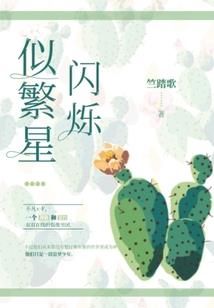 我的小豆包