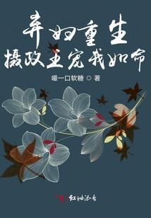 苏家太子妃