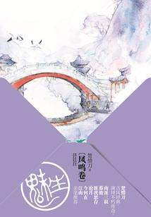 镜花残梦