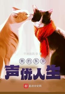 爱情曲折