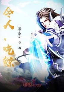 龙珠之极限法则
