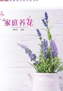 王子殿下你家执事到了