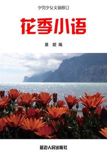 你是我的良辰美景