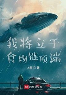 陆花情殇