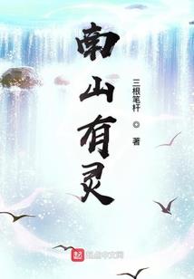 凤浴苍穹