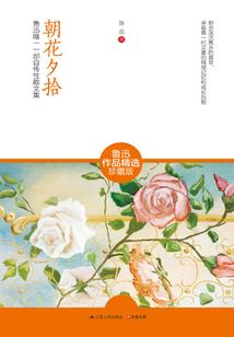 万象收藏家