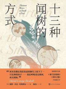 独沐春风