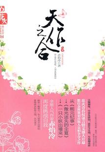 米瑞斯之不一样的阿玛迪斯