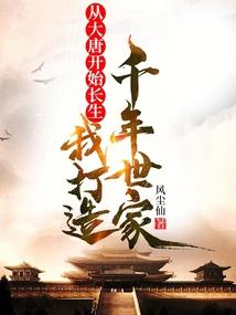 以武临道