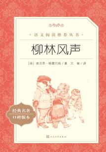 超级都市小医仙