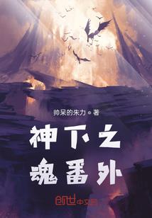 城主夫人是全能