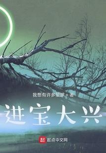 焚城孤本