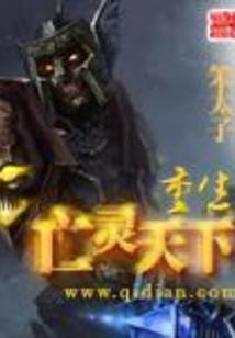 灵武大陆之天炎剑华