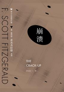 宠物小精灵之风起叶子