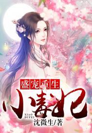 风迷尘夜笙歌
