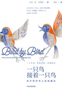 数码妖怪