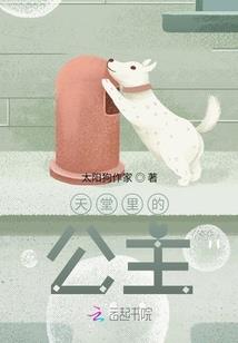 圣元乾坤