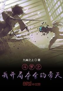 异界骑士光辉