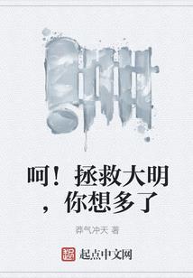 神奇宝贝之小dao