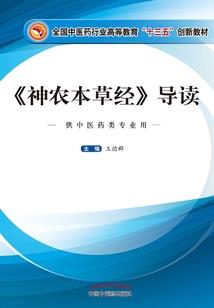 丫头你等着
