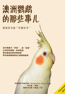 曾经：你是我的传说